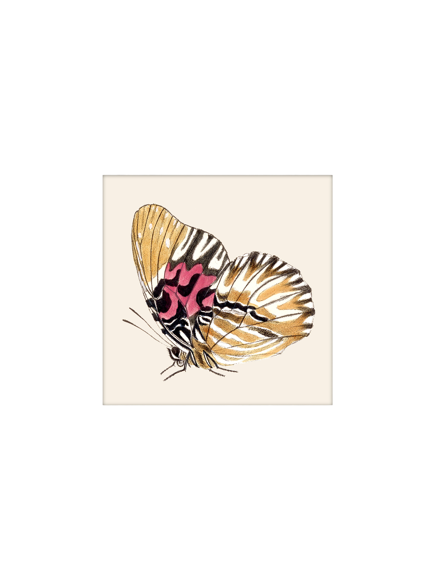 Plakat 24 x 24 | Papir. 24 x 24 cm.  | Multi | The Dybdahl Co.