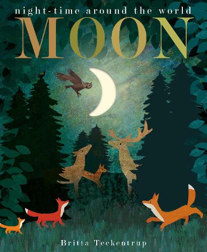 Moon: night-time around the world (Board book)