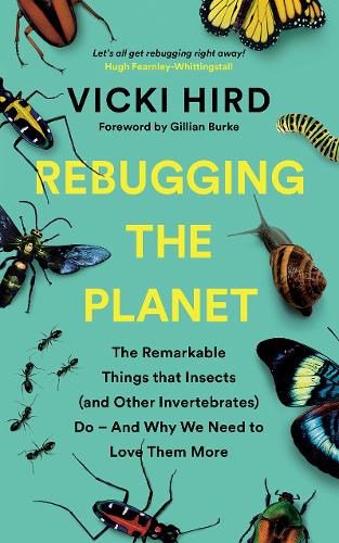 Rebugging the Planet: The Remarkable Things that Insects (and Other Invertebrates) Do And Why We Need to Love Them More (Paperback)