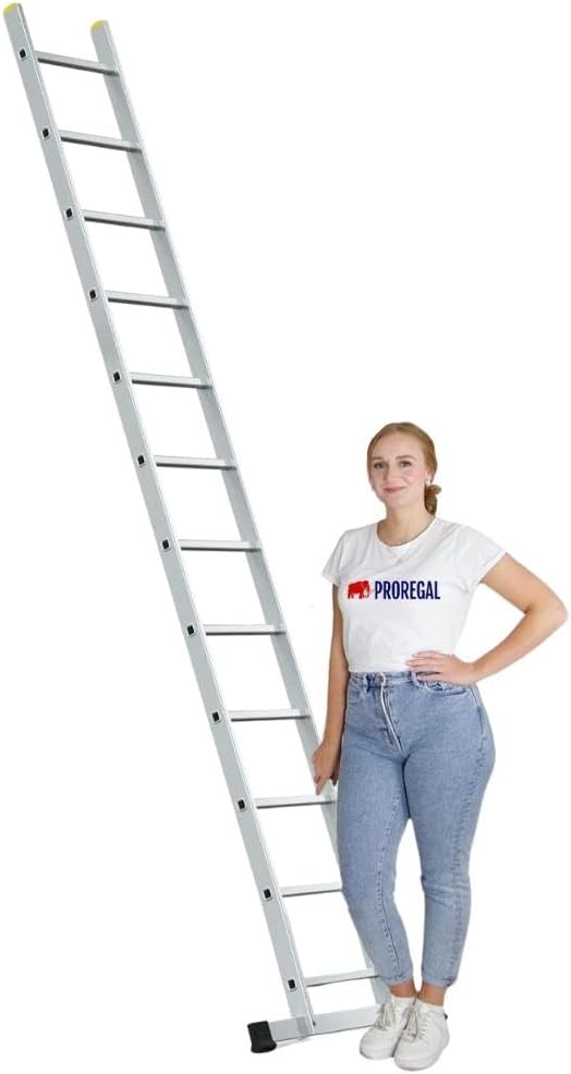PROREGAL Economy Plus sportschuifladder met dwarsbalk, 12 sporten, werkhoogte 4,24 m, draagvermogen 150 kg