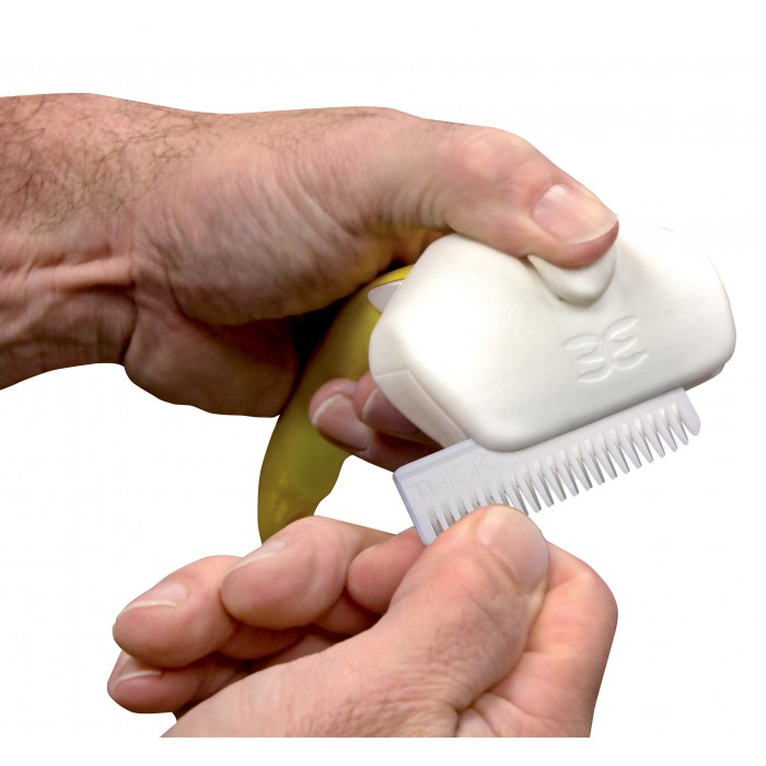 Brosse Foolee Easee