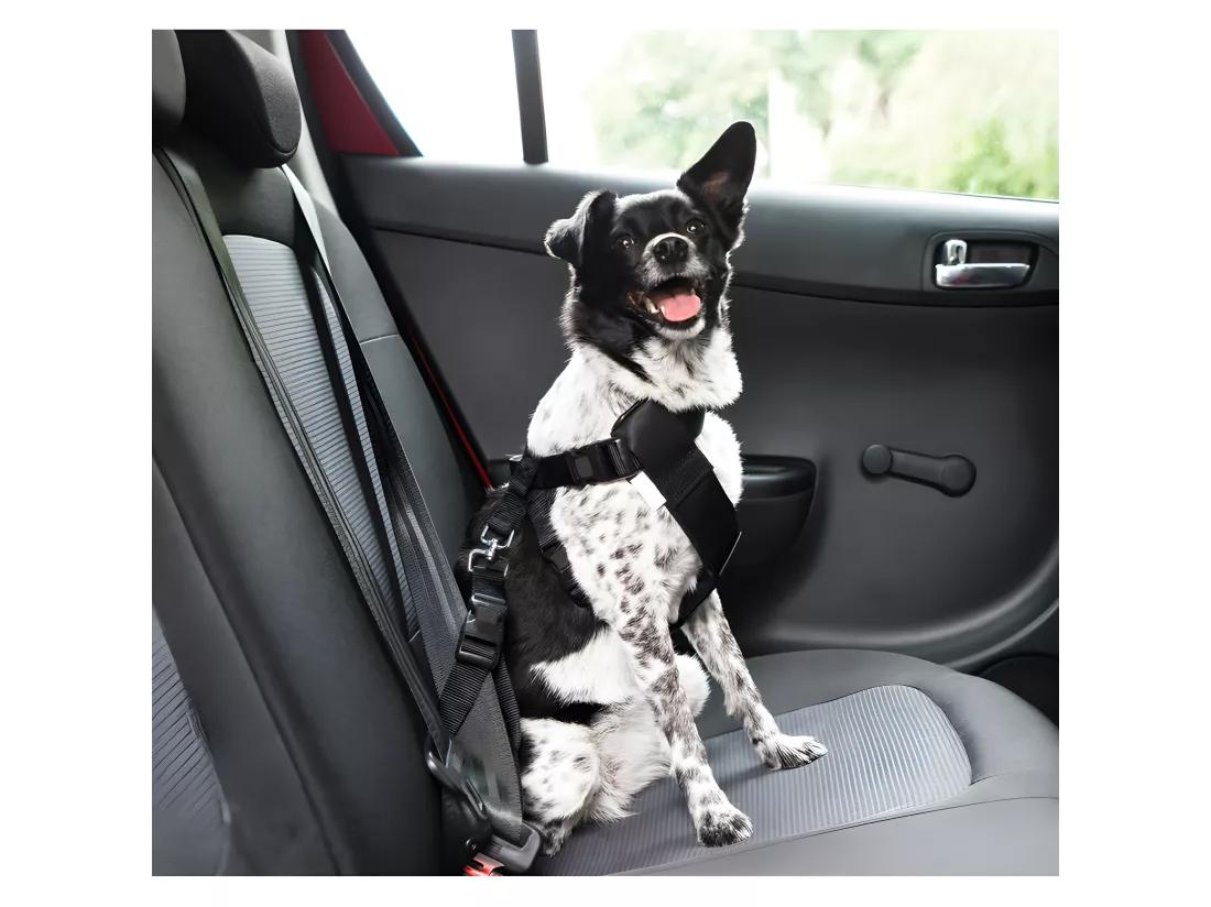 Harnais de sécurite réglable pour voiture - Taille M - Noir - L 50 à 70 x l 2.5 cm