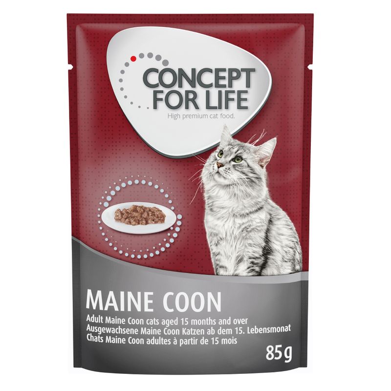 Concept for Life Maine Coon Adult sans céréales saumon