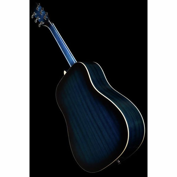 Harley Benton D-120TB