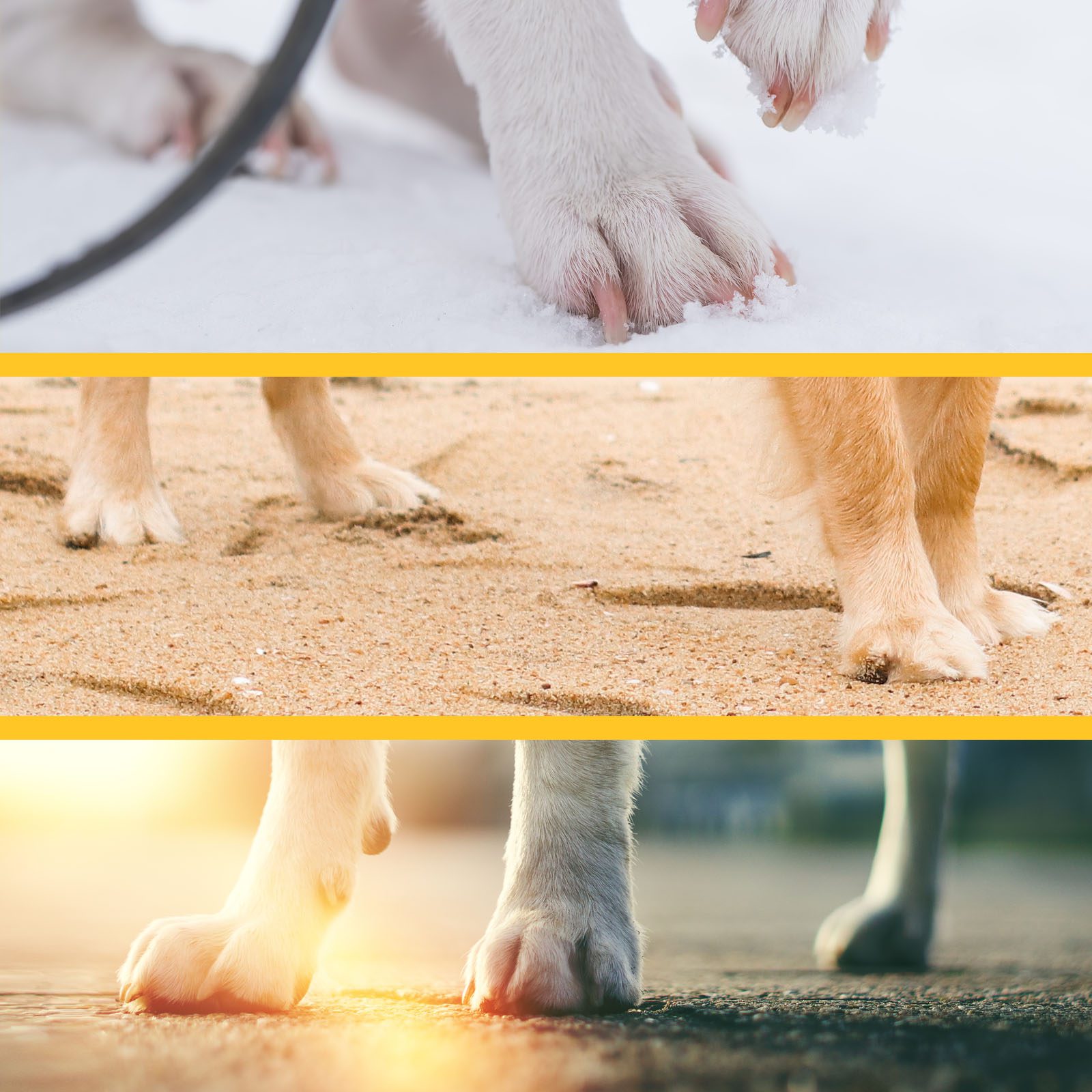 Spray protetor para patas de cães. 125ml. 100% Natural. MAIKAI PETS.