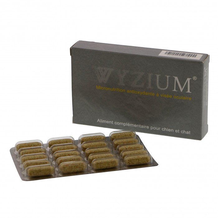 Wyzium