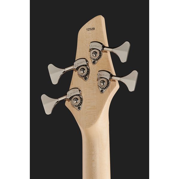 Dingwall NG3 Nolly Sig.4 Black Forrest