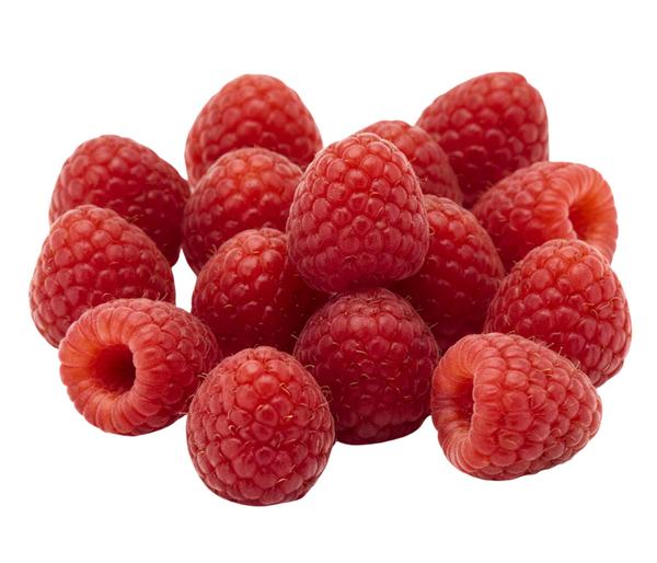 Bio Himbeere 'Sanibelle'®