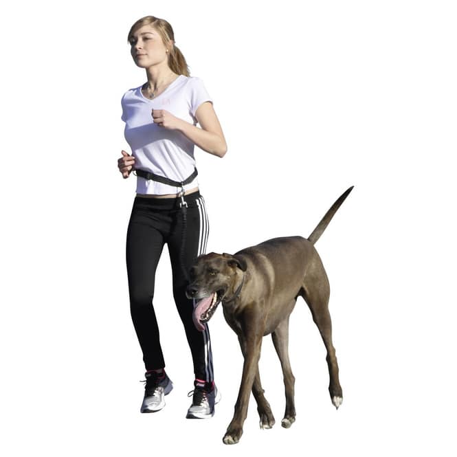 Jollypaw - Hundezubehör - Bauchgurt mit Leine - schwarz