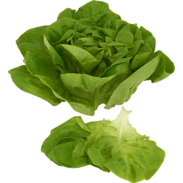 Jumbo Kropsla