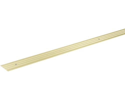 SKANDOR overgangsprofiel champagne geanodiseerd geperforeerd 2x29,5x900 mm