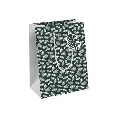 Clairefontaine - Sac cadeau - winter vert - 21,5 cm x 10,2 cm x 25,3 cm