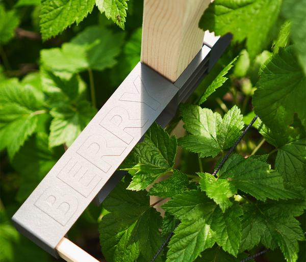 Gusta Garden Beeren-Rankhilfe Berry Buddy, ca.