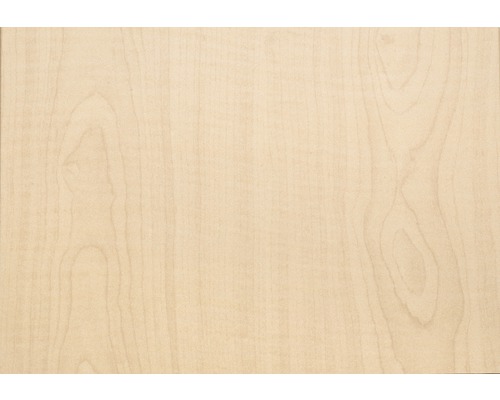 Decoratief paneel zilveresdoorn 8x150x2600 mm