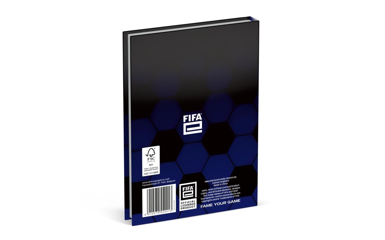 FIFA E schoolagenda