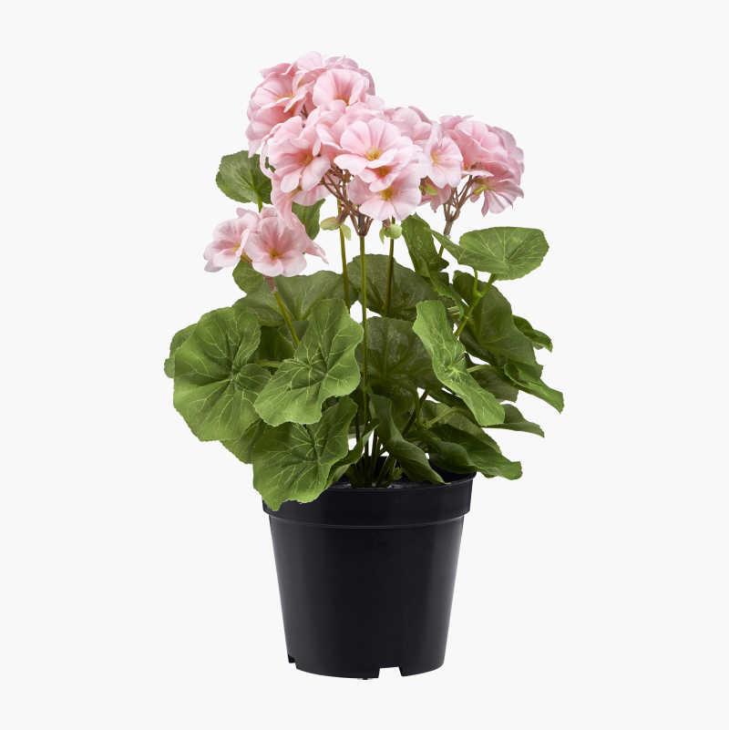 Kunstig plante, hvit pelargonium