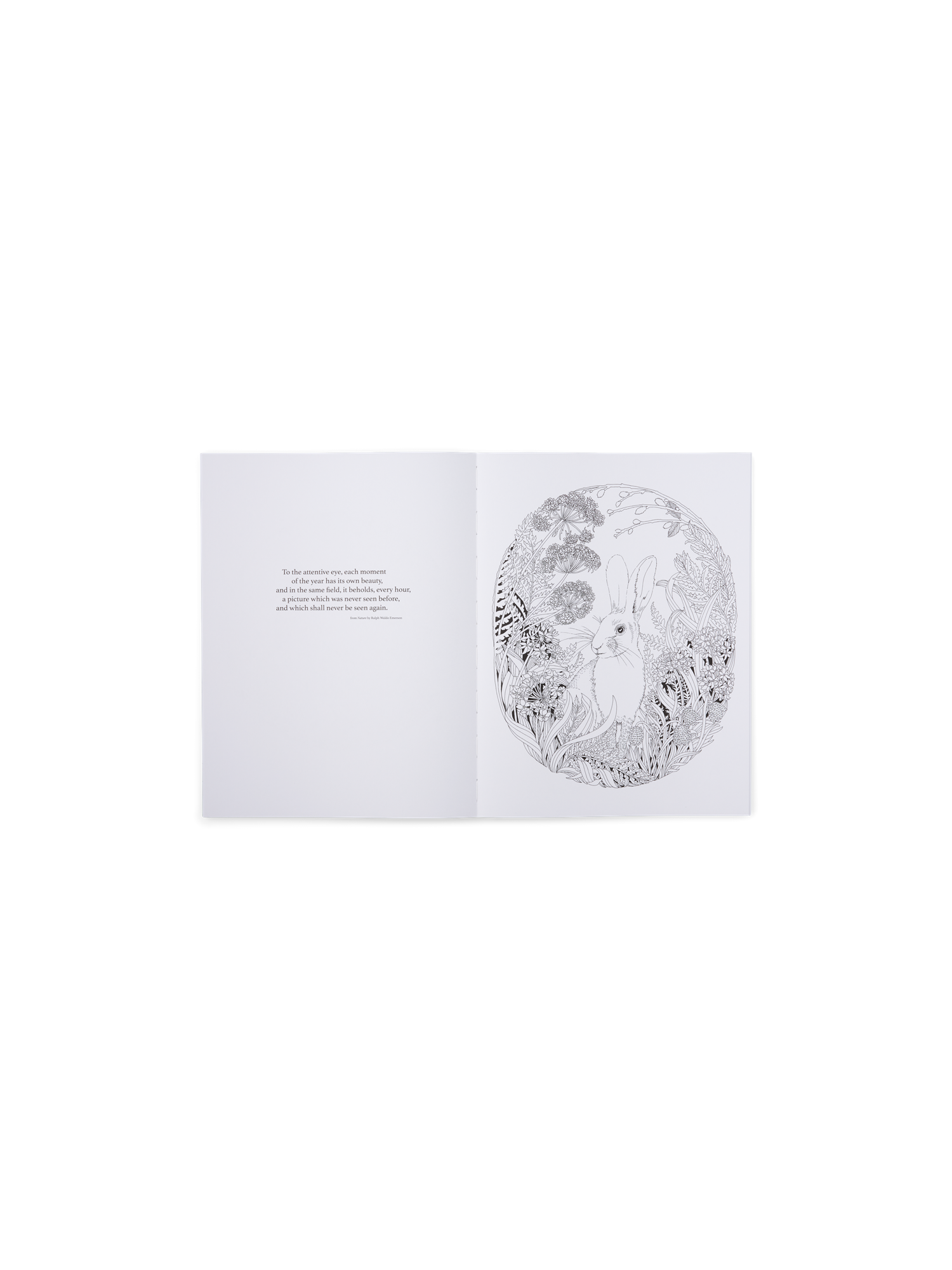 Beautiful Planet Colouring Book | Softcover. Papir. 31 x 23,5 x 1 cm. 80 sider.  | Fern Green | New Mags