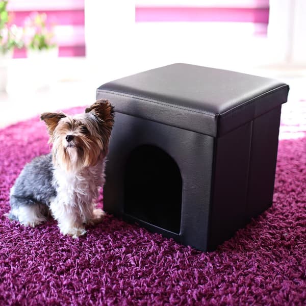 Krakk til hundebokser