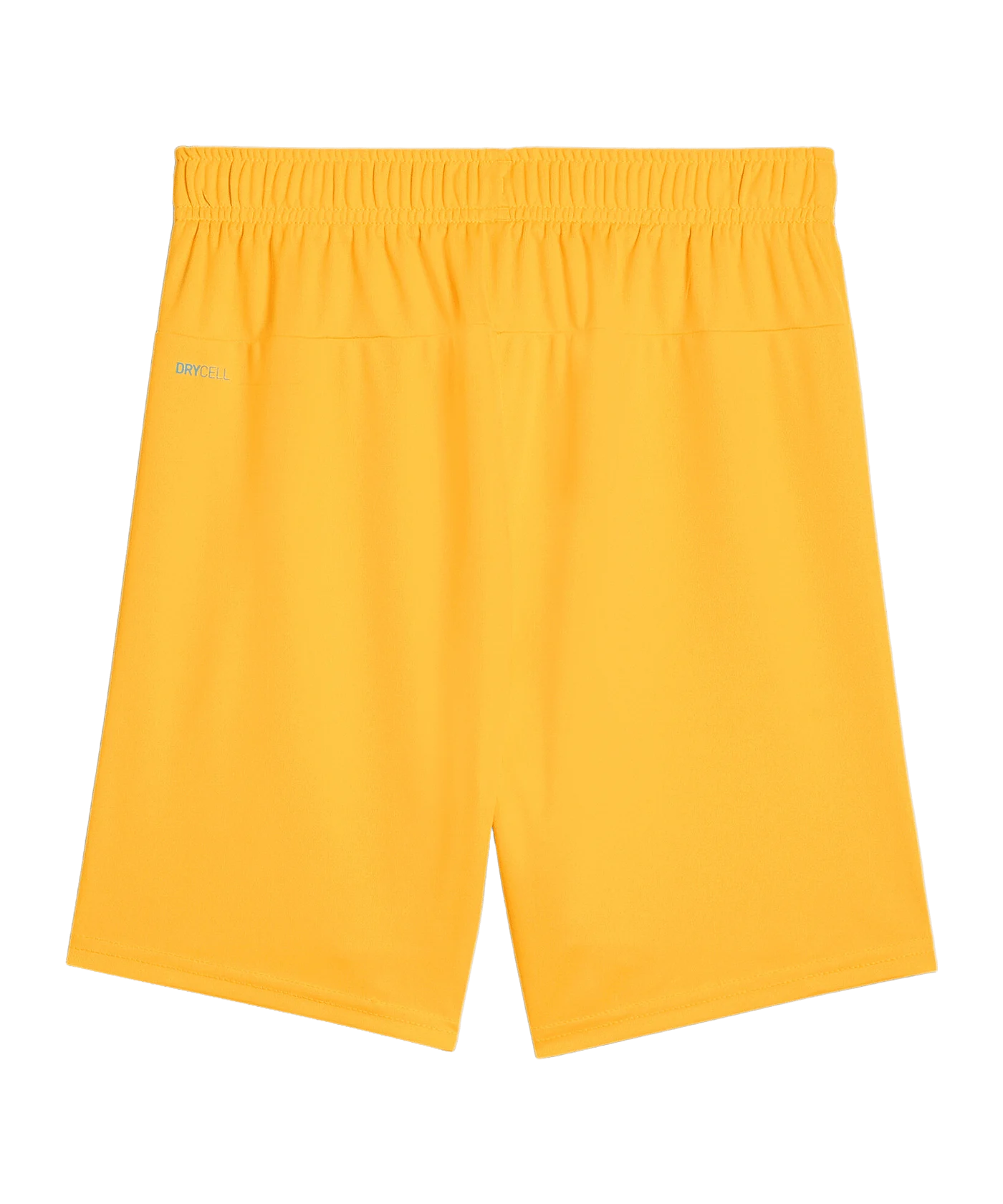 PUMA teamGOAL Short Kids Orange Schwarz F61