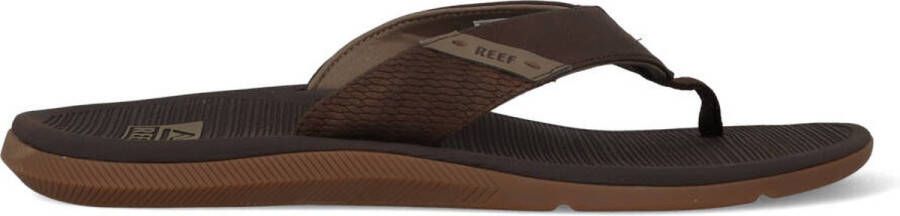 Reef Santa Ana Teenslippers Ci4651 Kleur Bruin