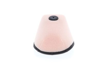 Filtre à air Twin air kit Powerflow 10000050 - 150229FR