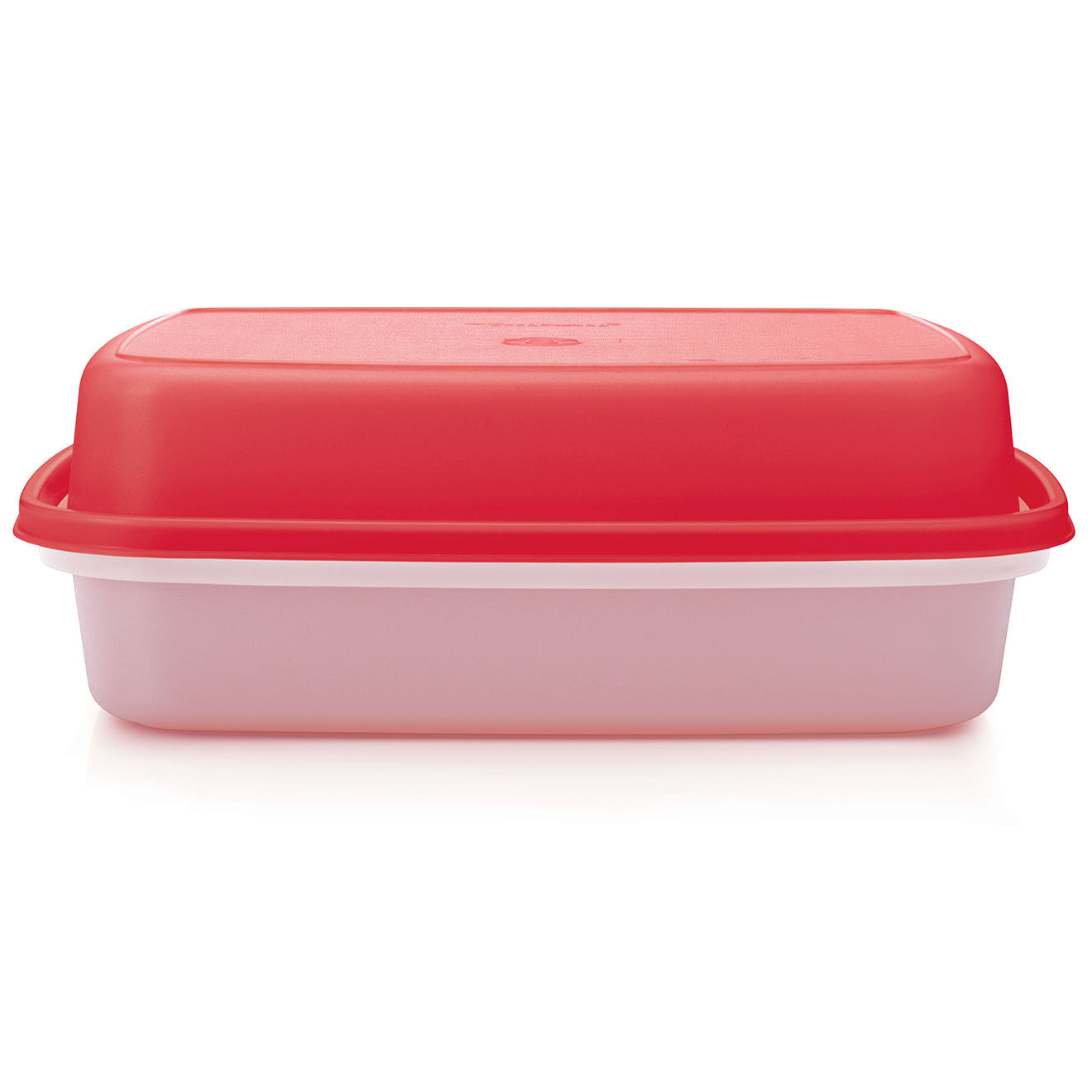 Tupperware Plat à marinades transparent/rouge - 20.4x8.3x25.5 cm