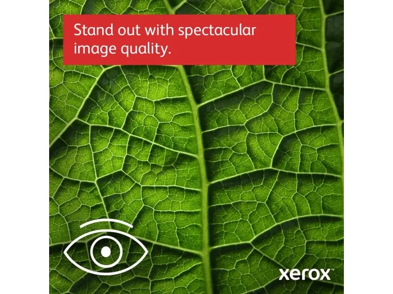 Xerox C230 - Printer - farve - laser - 216 x 340 mm - 600 x 600 dpi - op til 22 spm (mono) / op til 22 spm (farve) - kapacitet: 250 ark - USB 2.0, LAN, Wi-Fi(n), USB 2.0 vært - Green World Alliance returneringsprogram