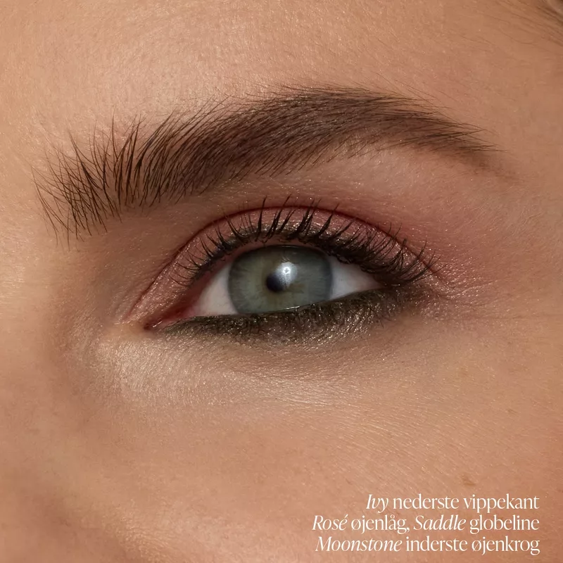 Jane Iredale ColorLuxe Eye Shadow Stick 1,4 gr. - Ivy