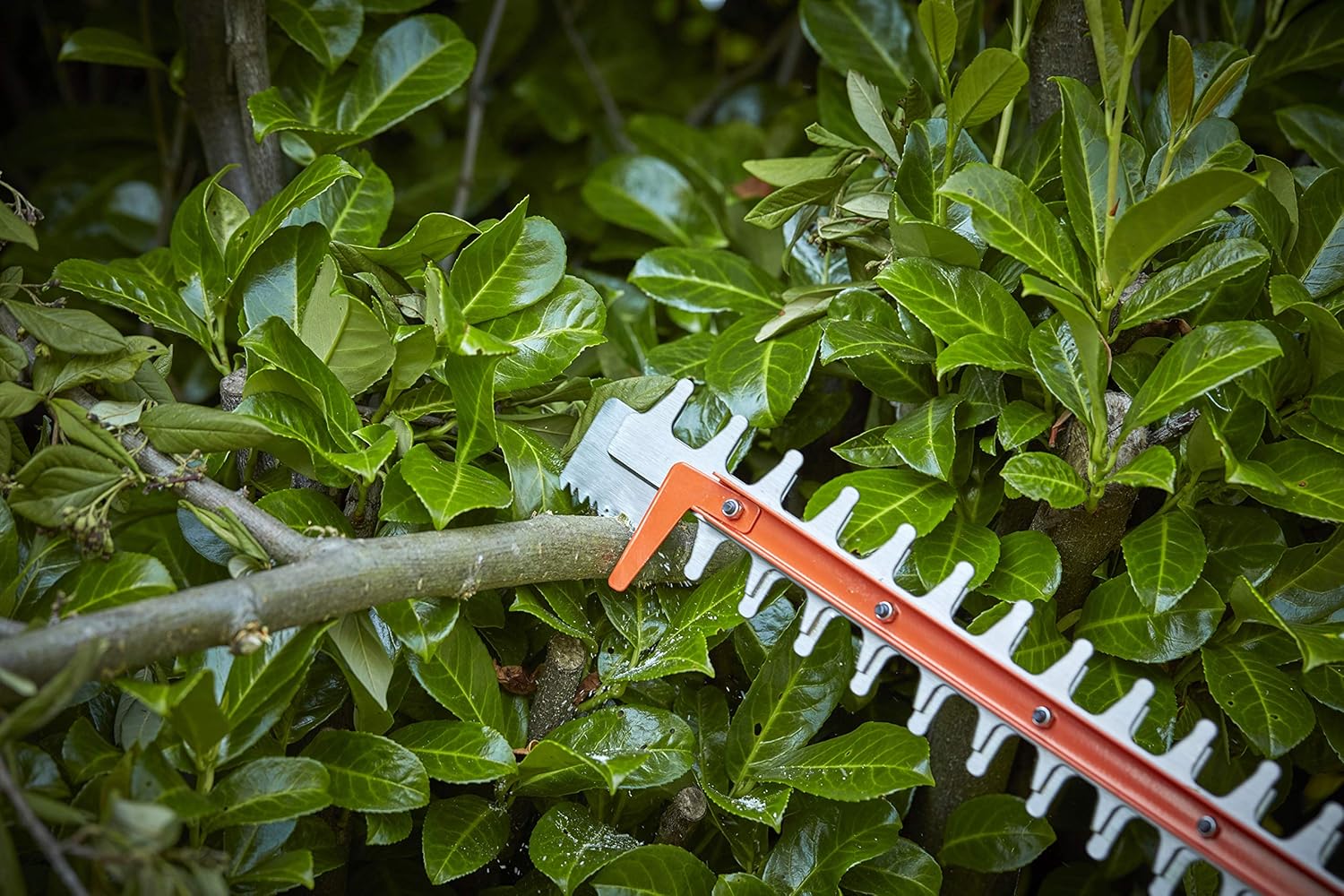 BLACK+DECKER 36V Akku-Heckenschere mit POWERCOMMAND (55cm Messerlänge, 22 mm Schnittstärke, mit Saw Blade Sägeblattspitze, ideal für größere Hecken, inkl. Akku & Ladegerät) BCHTS3625L1-QW