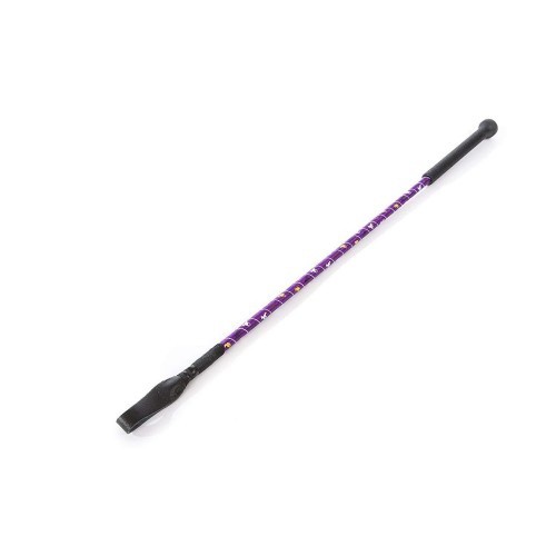 Chicote de cavalo roxo