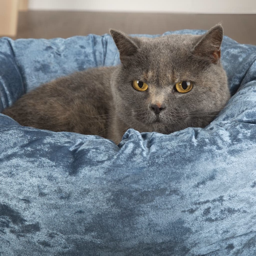 Lit pour animaux de compagnie velours bleu