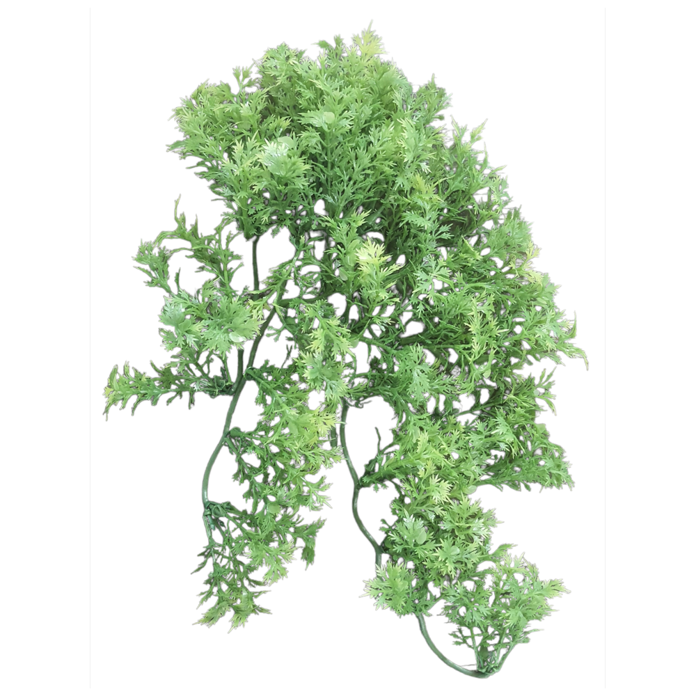 Plante décorative en plastiques imitation érable australien d'environ 46 cm