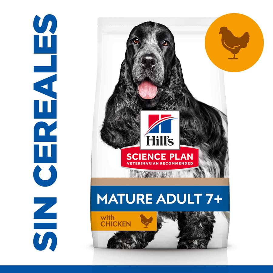 Ração para cães Hill's Science Plan Mature Adult 7+ sabor frango