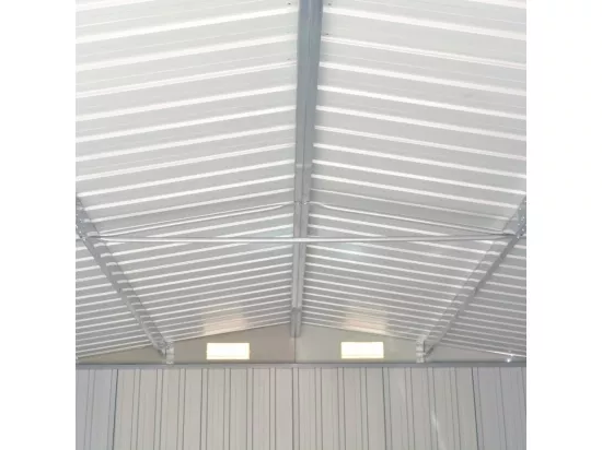 Abri de jardin Marron 257x990x181 Acier galvanisé