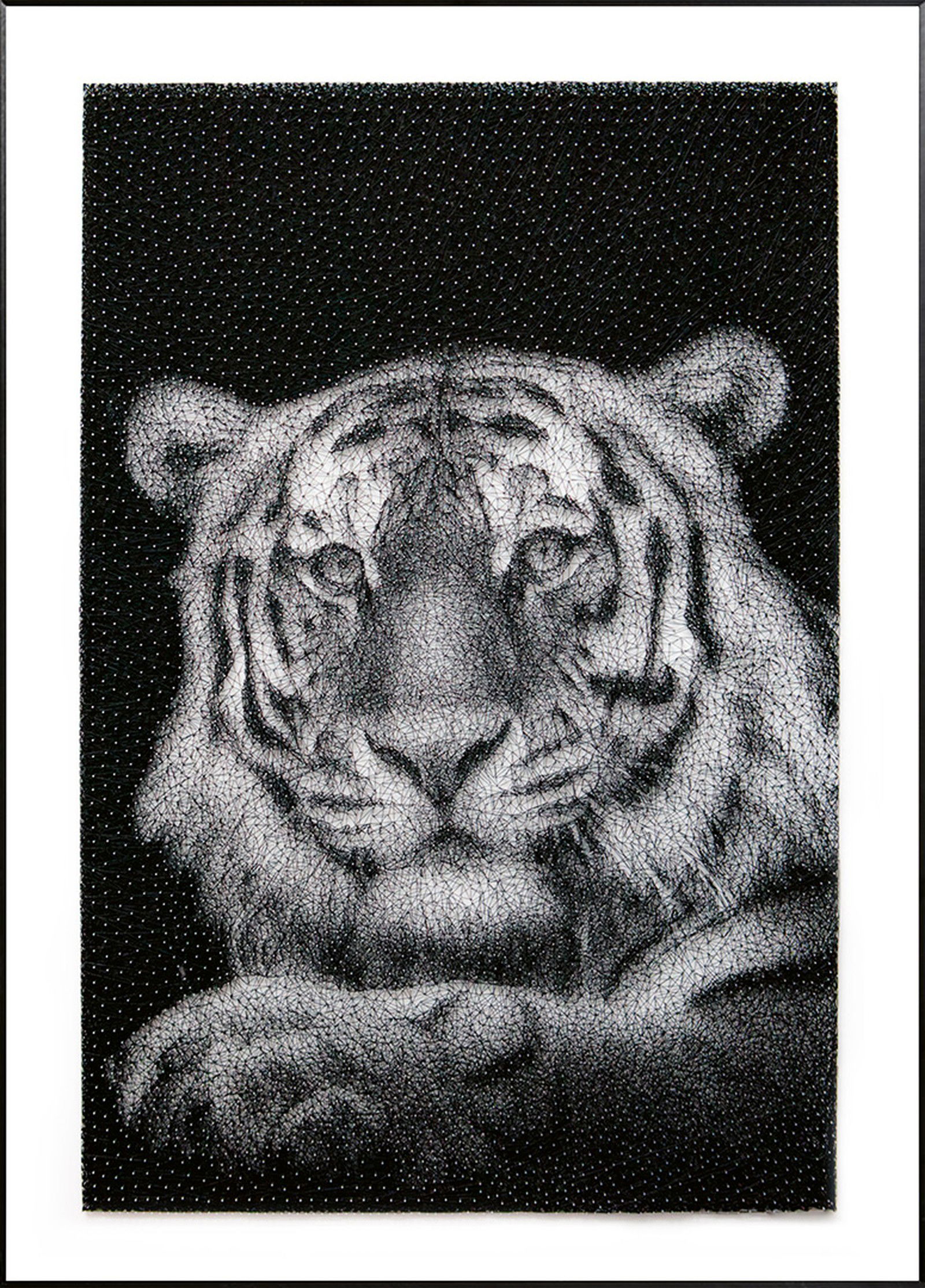 Tiger ll by Mikhail Kirakosyan - Limited Edition. Edition of: 300. Studio Stamp.