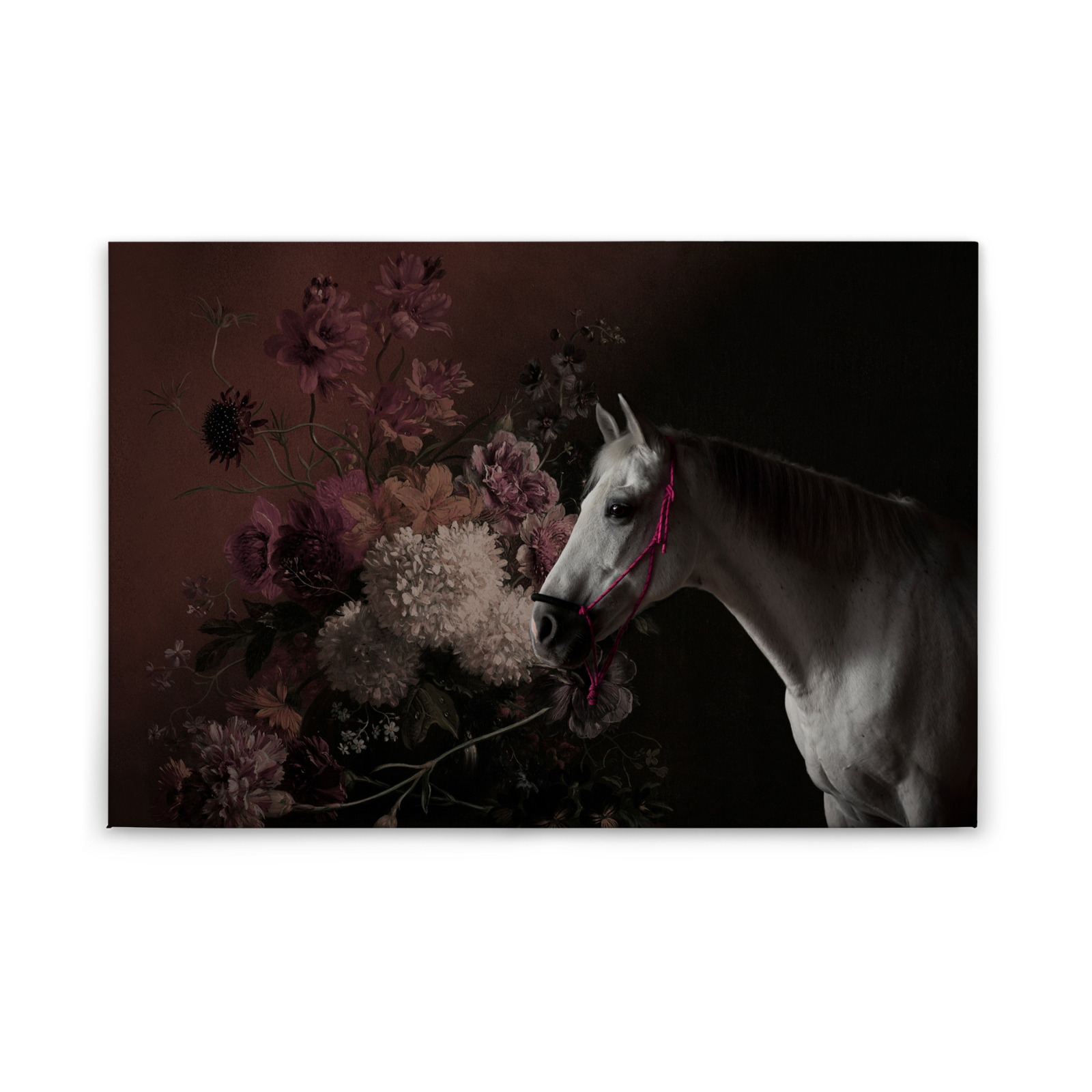 Leinwandbild PFERD - schwarz-rot - 90x60 cm