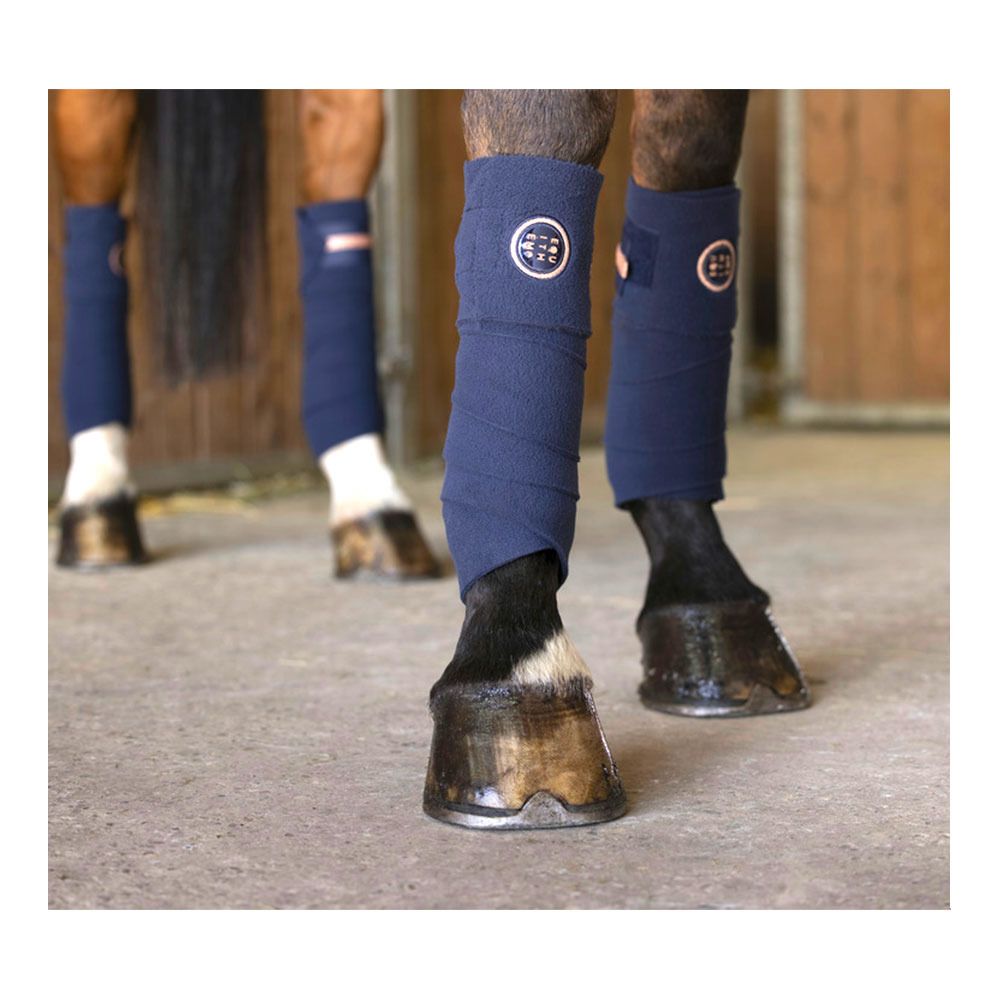 Equitheme SKOLSTART - Bandes de polo x4 marine