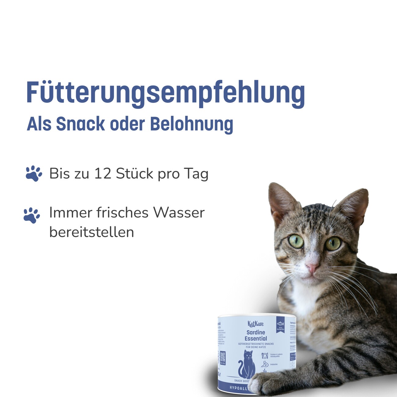 KatKare Hypoallergener Gefriergetrockneter Snack Sardine Essential 70 g