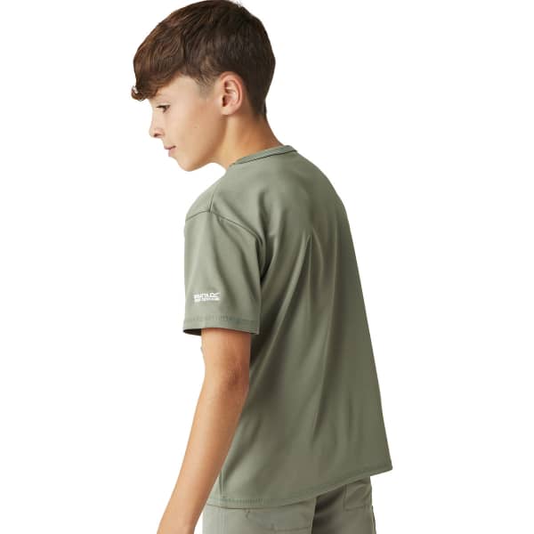 T-shirt randonnée REGATTA ALVARADO VIII AGAVE GREEN