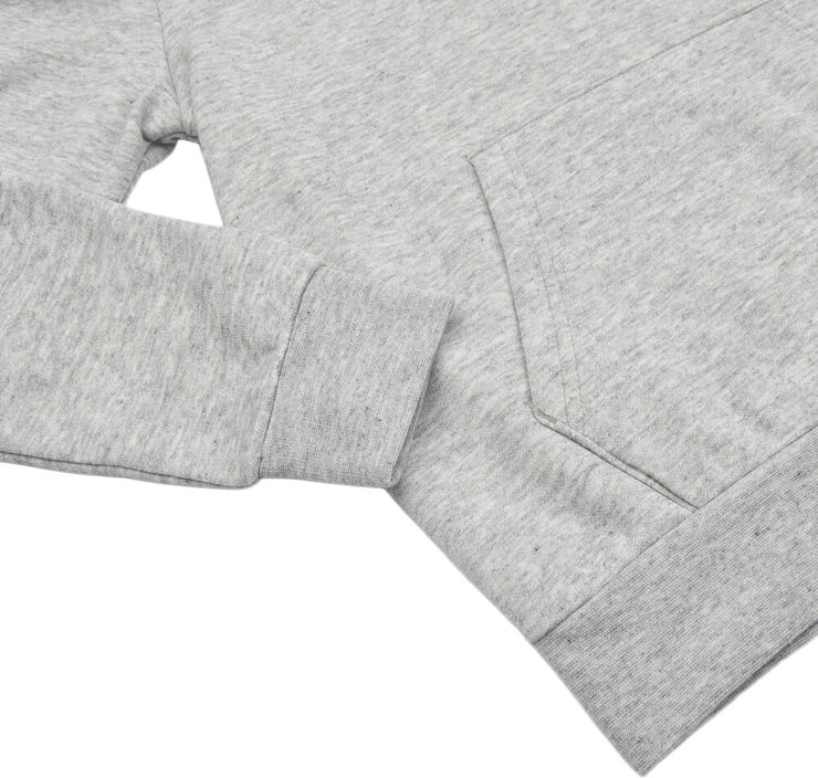 Champion Hooded sweatshirt Grå