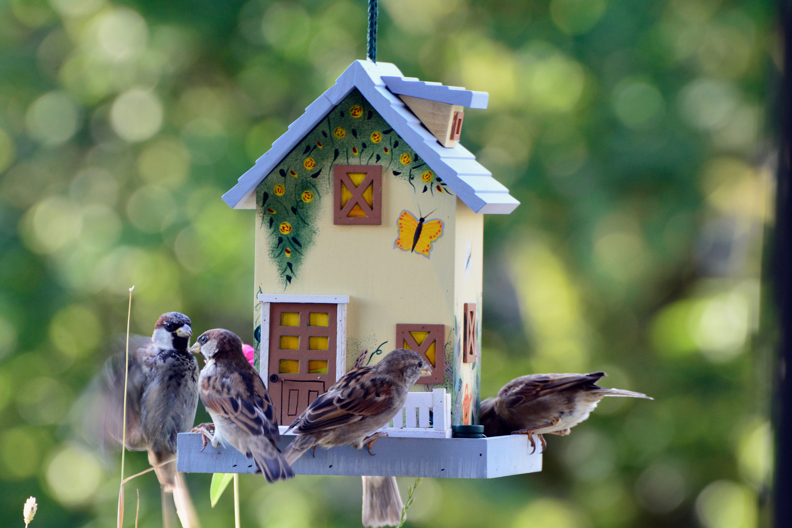 dobar Buntes Deko-Vogelhaus - versch. Ausführungen