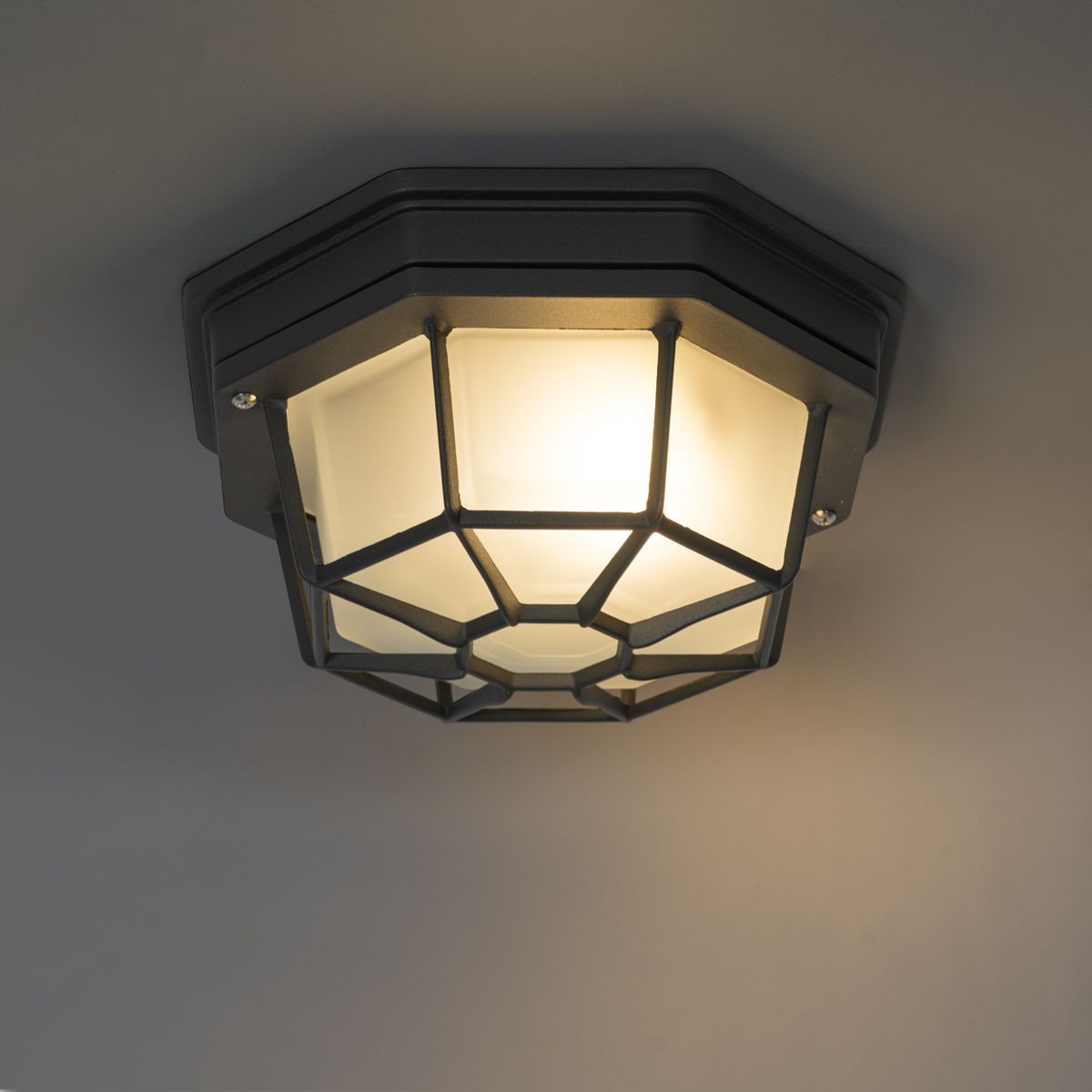 Landelijke plafondlamp donkergrijs 21,3 cm IP44 - Bri