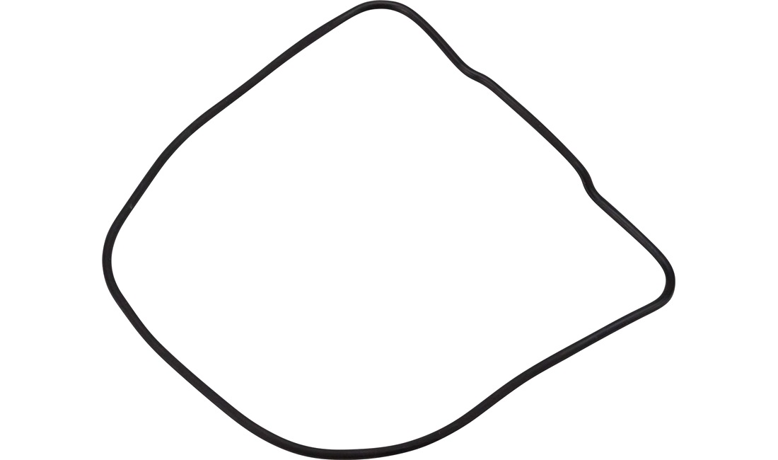 Ventildækselpakning Giantco Sprint