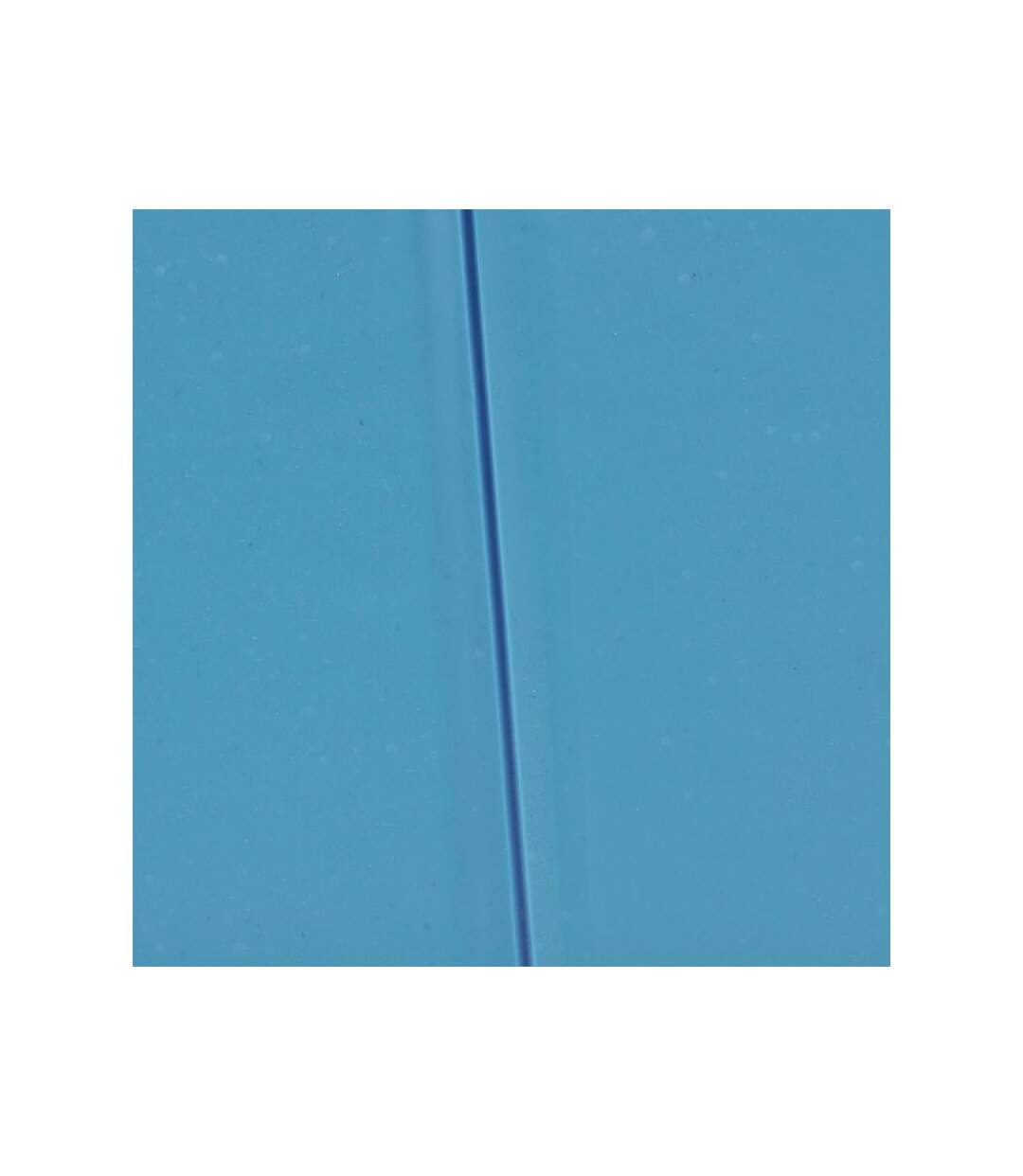 Paris Prix - Piscine Pour Chien robinet 120cm Bleu