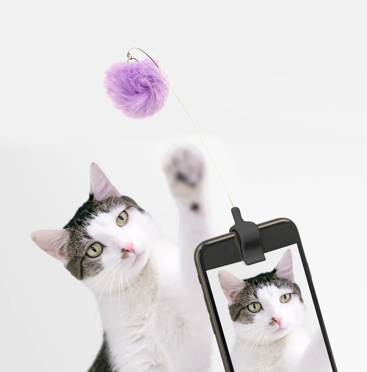Kikkerland  Kitty phone klips - multi