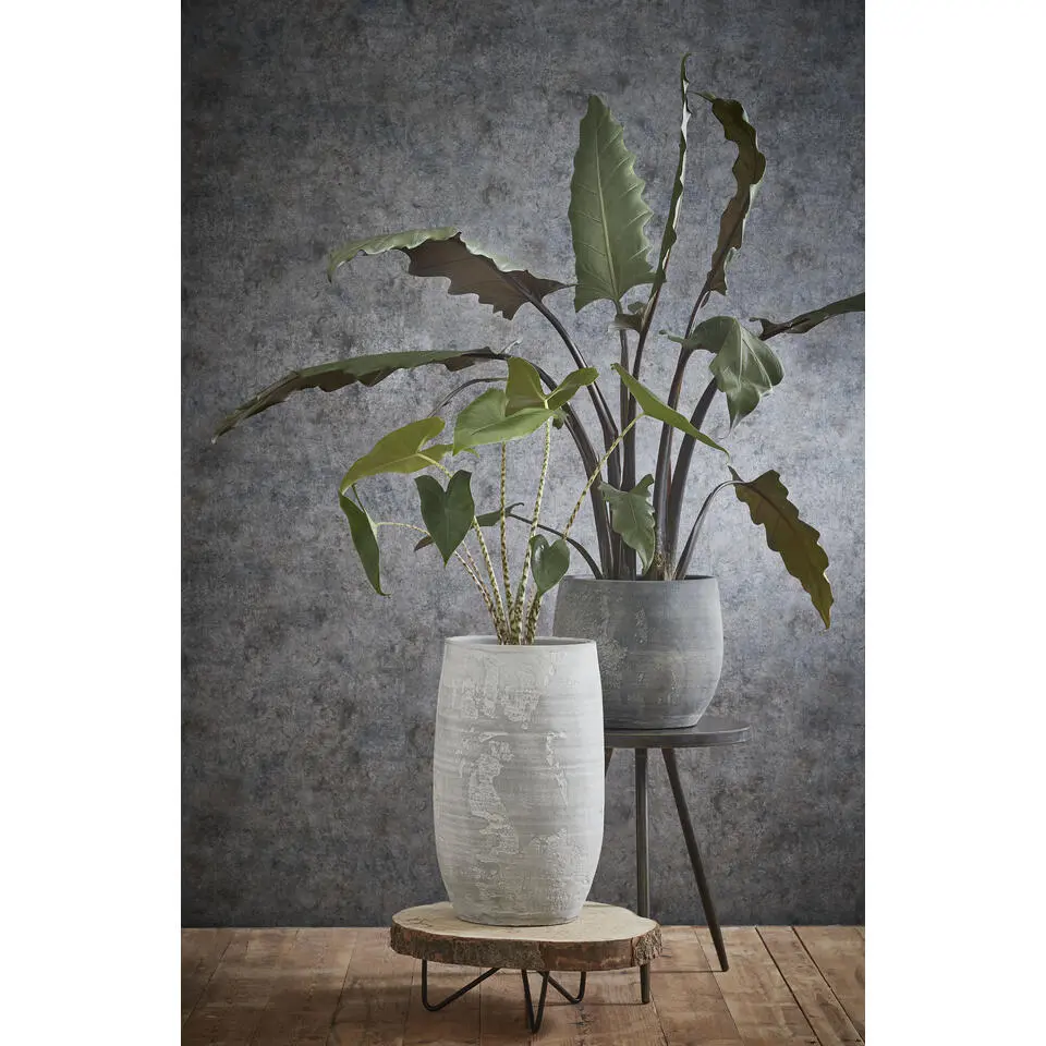 Mica Decorations Pia Boomstam Bijzettafel - H14 x Ø40 cm - Lichtbruin