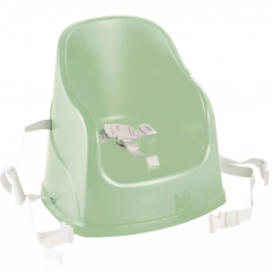 Thermobaby® Hochstuhl Youpla 2-in-1, green Celadon