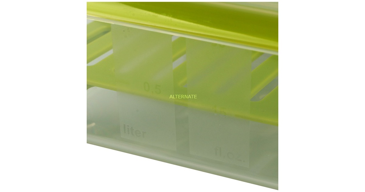 EmsaEmsa CLIP & GO Sandwichbox XL lunchbox  (Transparant/groen, 1,3 l, met roosterinzet voor 2e niveau)