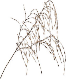 Silk-Ka kunsttak Siergras goud 119 cm