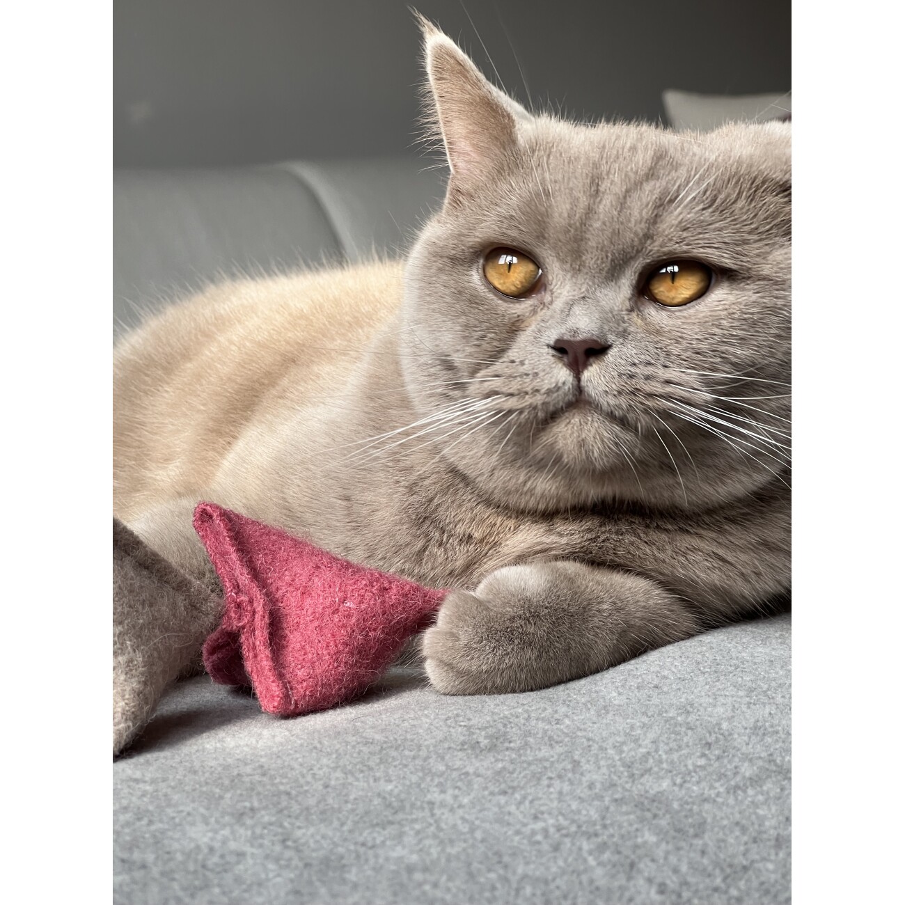Kater Kasimir Katzen Spielkissen mit Baldrian und Katzenminze, 2er Set. Reiner Wollfilz vom Schaf, von Hand genäht
